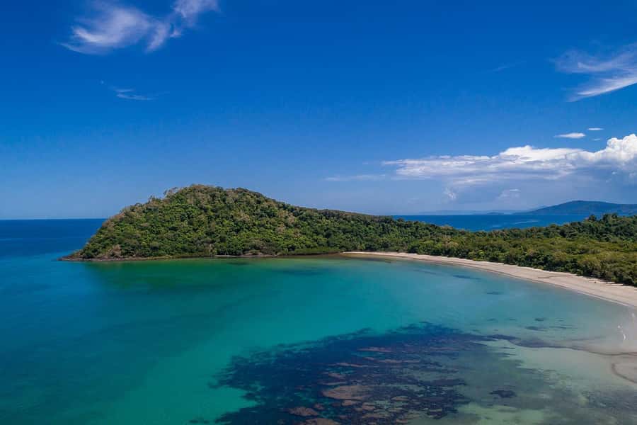 Cairns: Daintree Rainforest & Cape Tribulation Day Trip - A one-hour Daintree River wildlife cruise