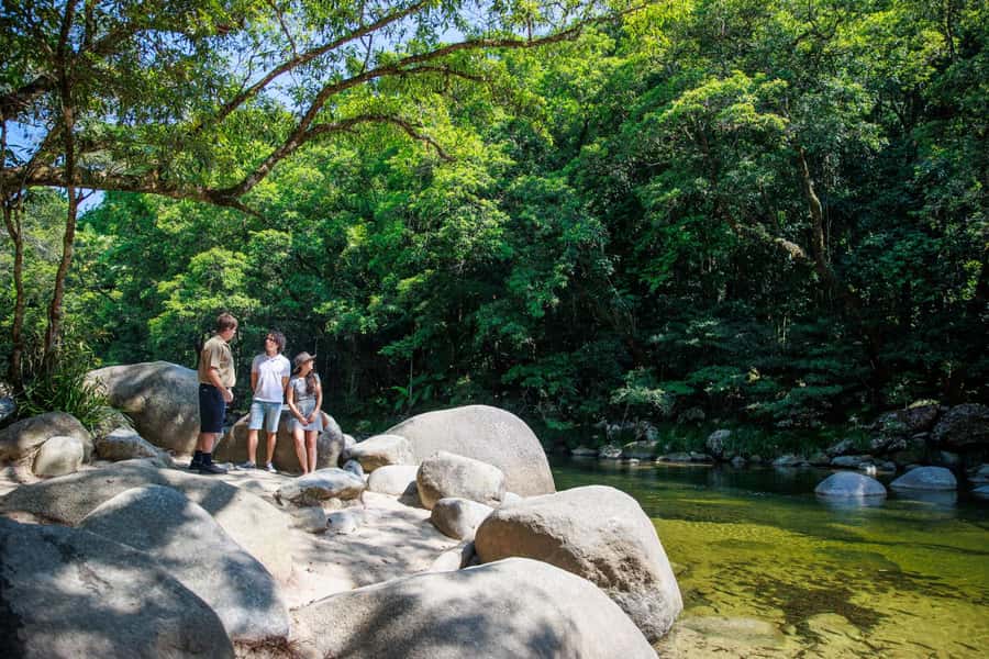 Cairns: Daintree Rainforest & Cape Tribulation Day Trip - Early pickup and the long northern drive
