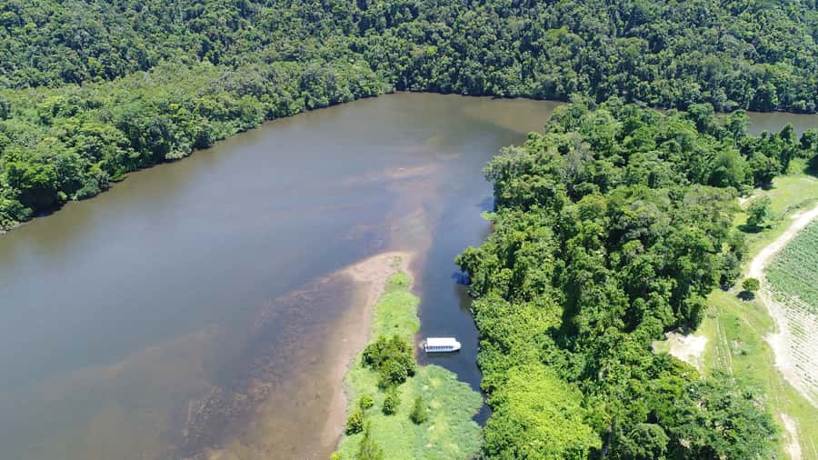 Cairns: Daintree Rainforest Wildlife Experience Cruise - Key points to know