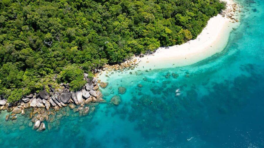 Cairns: Fitzroy Island Ferry, optional lunch, tours, snorkel - The morning at Cairns Marlin Marina