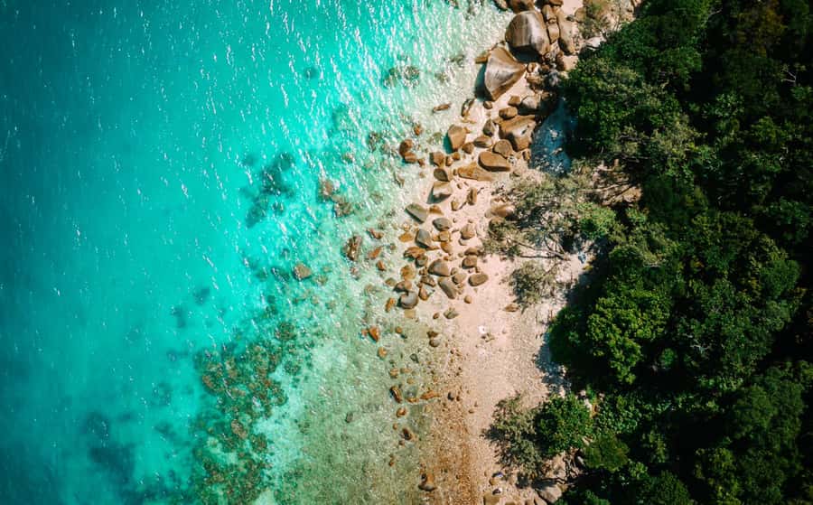 Cairns: Fitzroy Island Ferry w/ Snorkel, Lunch, Tour Options - The 10:15 AM ferry from Cairns