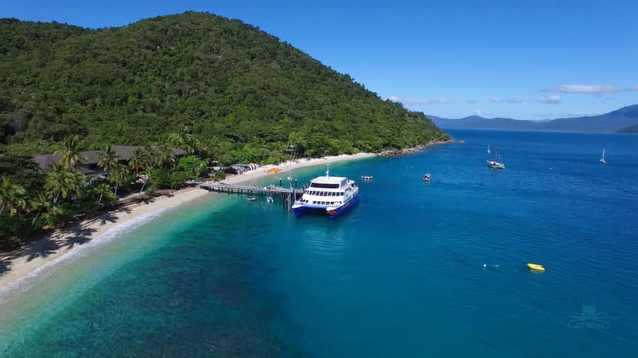 Cairns: Fitzroy Island Ferry w/ Snorkel, Lunch, Tour Options - Who will enjoy Fitzroy Island most