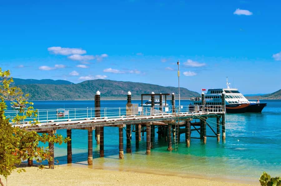 Cairns: Fitzroy Island Ferry w/ Snorkel, Lunch, Tour Options - What to bring for a smoother day