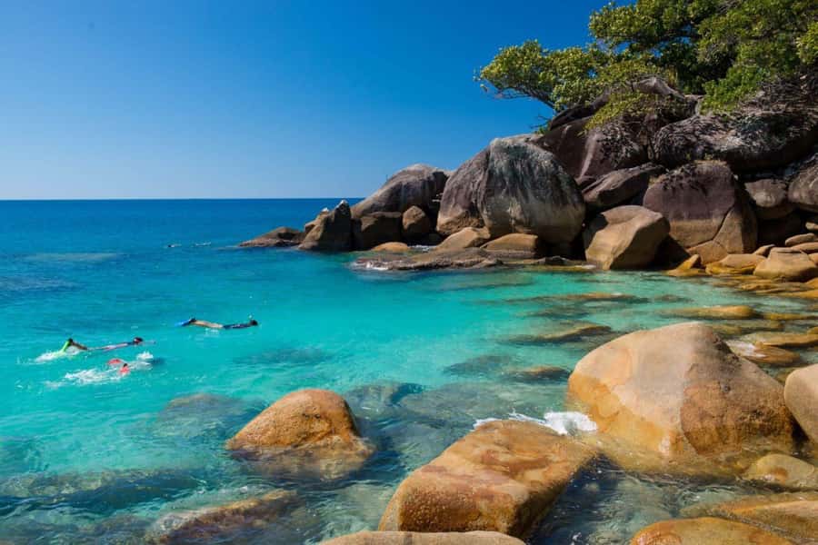 Cairns: Fitzroy Island Ferry w/ Snorkel, Lunch, Tour Options - Four and a half hours to choose your own day