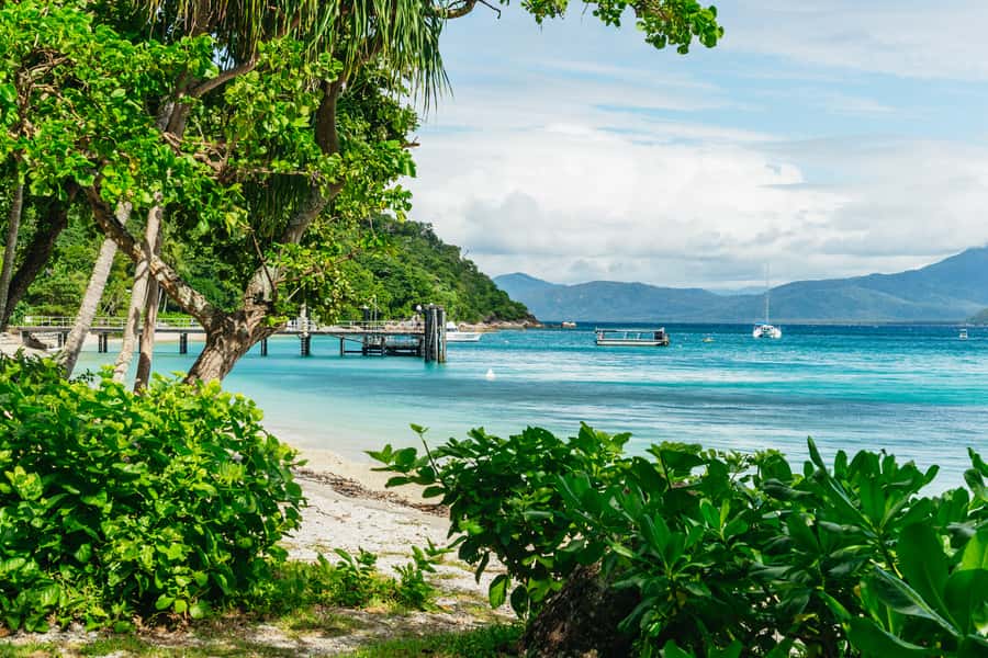 Cairns: Fitzroy Island Full-Day Trip with Optional Extras - Key points at a glance