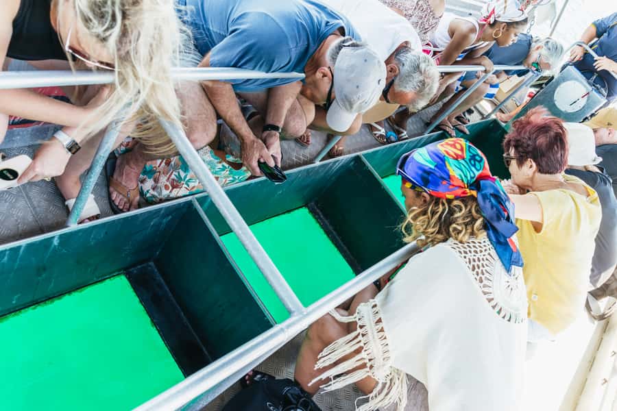Cairns: Fitzroy Island Full-Day Trip with Optional Extras - Planning a day that fits your energy