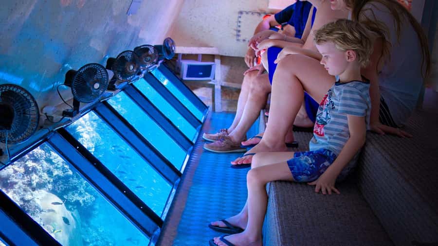 Cairns: Frankland Islands Great Barrier Reef Tour - From Cairns to the Mulgrave River