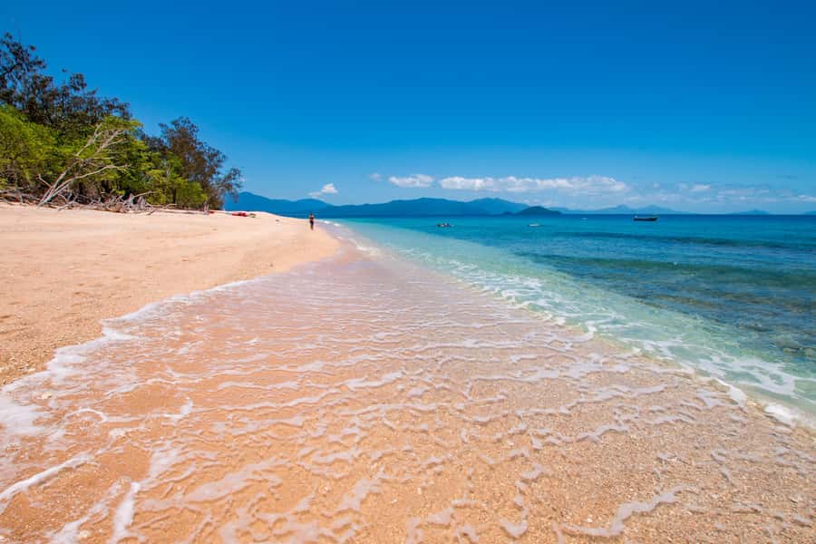 Cairns: Frankland Islands Great Barrier Reef Tour - How the $165 price measures up