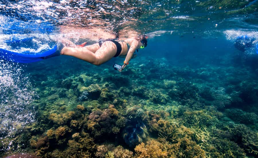 Cairns: Frankland Islands Great Barrier Reef Tour - Should you book the Frankland Islands tour?