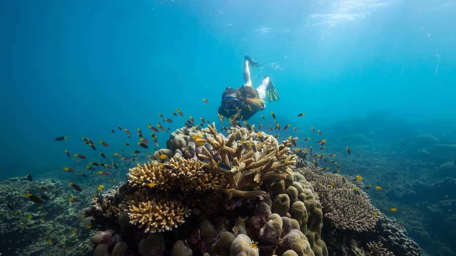 Cairns: Frankland Islands Great Barrier Reef Tour - The short crossing to Normanby Island