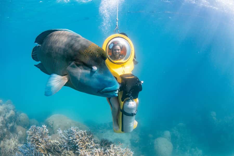 Cairns: Full Day Great Barrier Reef Pontoon Experience - Scuba options and important limits