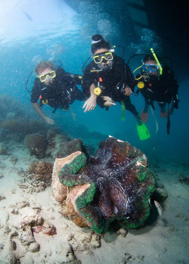 Cairns: Full Day Great Barrier Reef Pontoon Experience - Who will enjoy this reef day most?