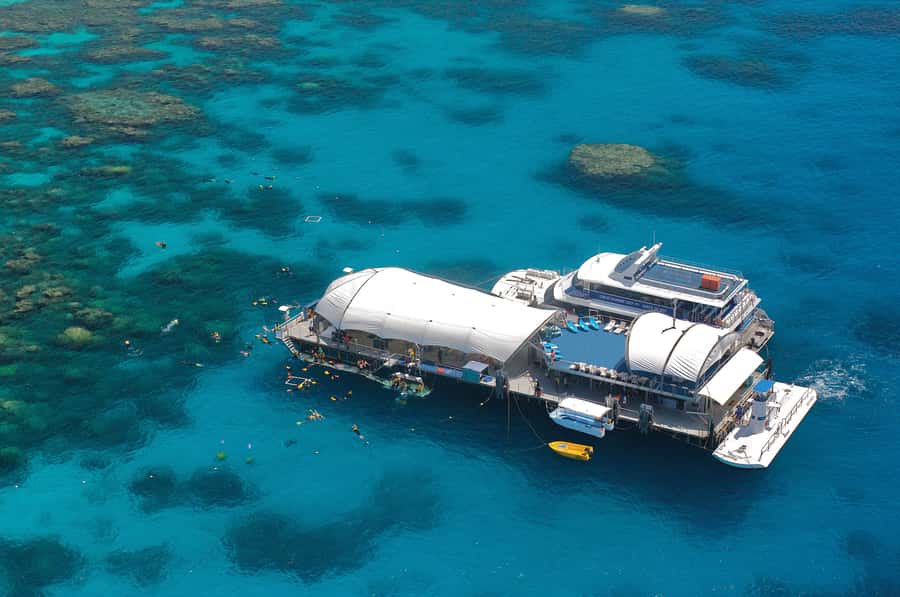 Cairns: Full Day Great Barrier Reef Pontoon Experience - Three hours at the pontoon