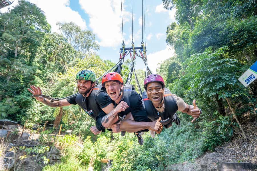 Cairns: Giant Swing - From rainforest canopy to hillside speed