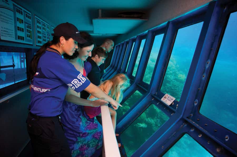 Cairns: Great Barrier Reef Cruise & 10 Minute Helicopter - Buffet lunch and managing your time