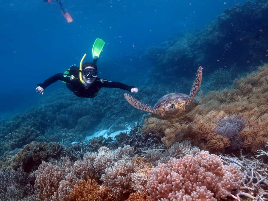 Cairns: Great Barrier Reef Cruise & 10 Minute Helicopter - Is $332 a fair price?