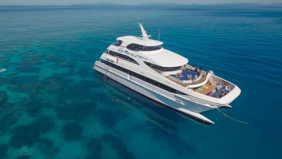 Cairns: Great Barrier Reef Cruise & Scenic Helicopter Flight - Hastings Reef and the helicopter flight