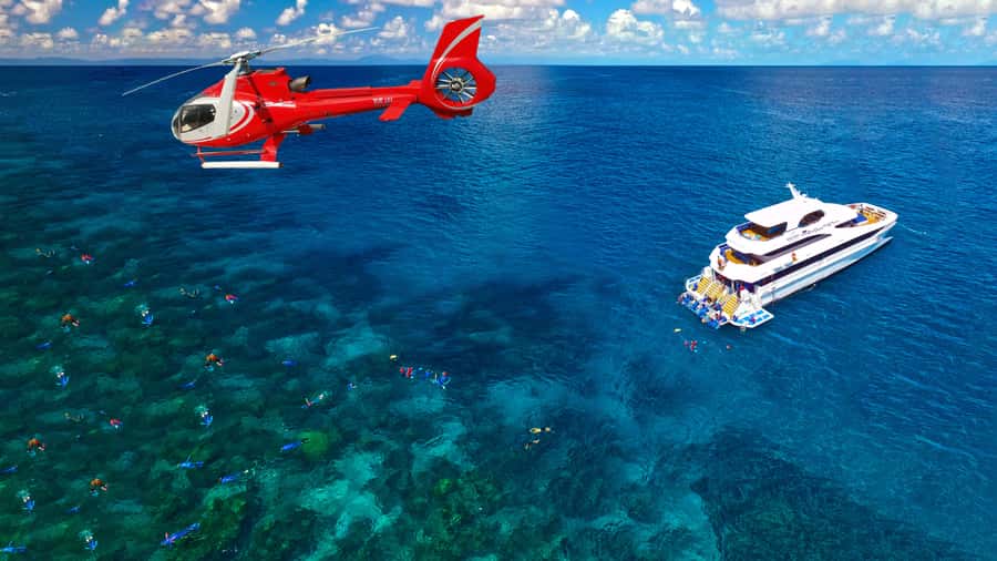 Cairns: Great Barrier Reef Cruise & Scenic Helicopter Flight - The crew and the practical side of the day