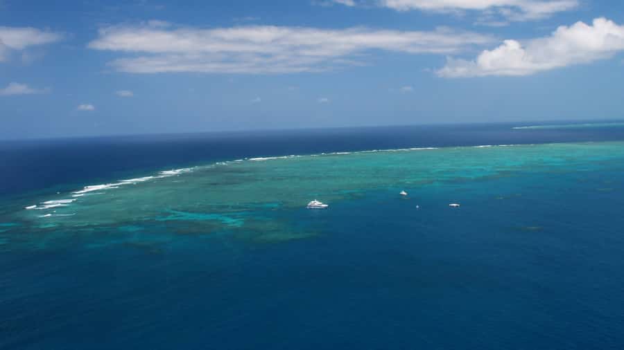 Cairns: Great Barrier Reef Cruise & Scenic Helicopter Flight - What to bring for comfort