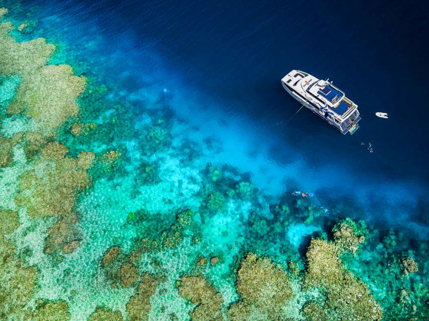 Cairns: Great Barrier Reef Full-Day Tour - Guides, safety, and the beginner experience