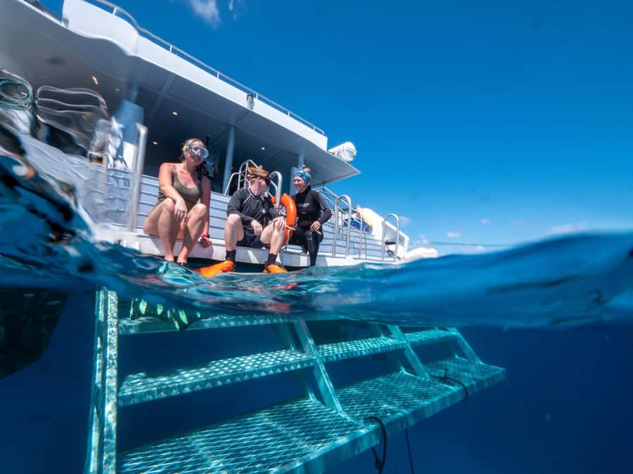 Cairns: Great Barrier Reef Full-Day Tour - Showers, space, and the small practical drawbacks