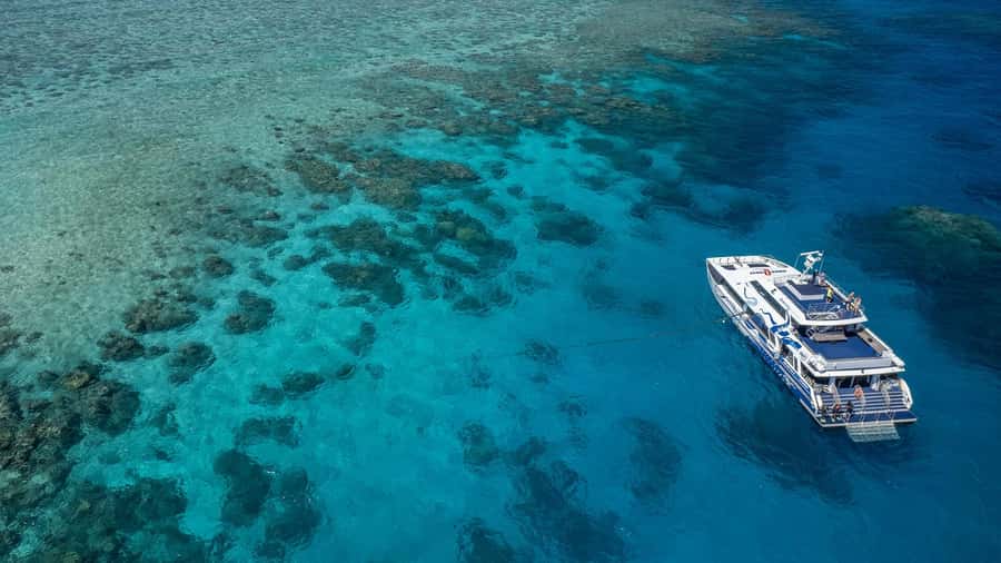 Cairns: Great Barrier Reef Full-Day Tour - The 8:00 a.m. start and the ride from Cairns