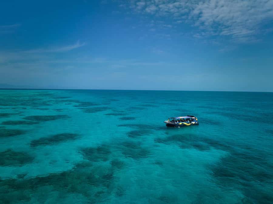 Cairns: Great Barrier Reef Half-Day Snorkelling Tour - Key points at a glance