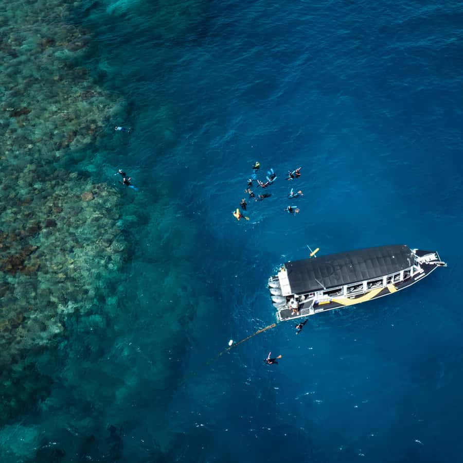 Cairns: Great Barrier Reef Half-Day Snorkelling Tour - A fast run from Cairns to the outer reef