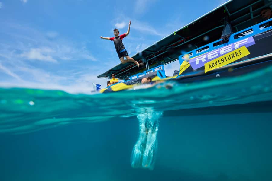 Cairns: Great Barrier Reef Half-Day Snorkelling Tour - What the guided snorkel feels like for beginners