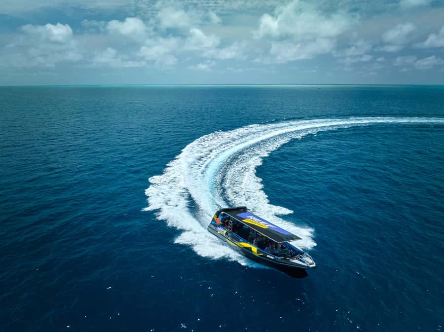 Cairns: Great Barrier Reef Half-Day Snorkelling Tour - Coral, fish, turtles, and the luck of the day