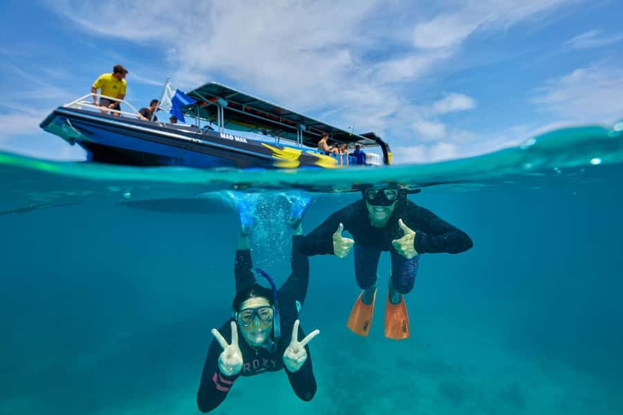 Cairns: Great Barrier Reef Half-Day Snorkelling Tour - Is $126 good value for a four-hour tour?