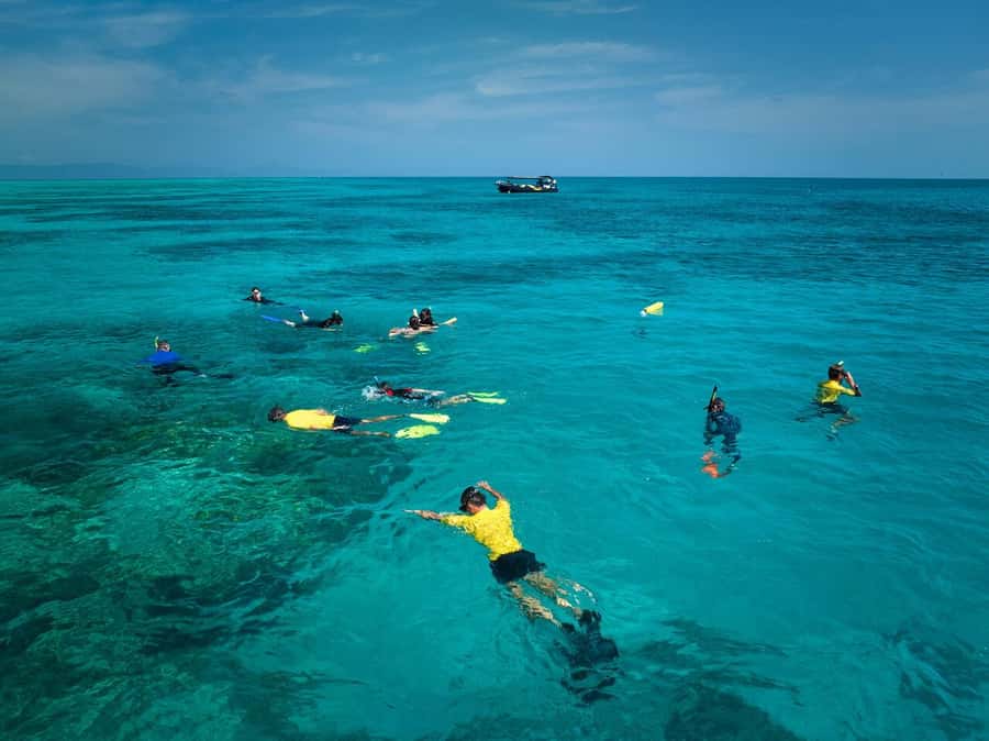 Cairns: Great Barrier Reef Half-Day Snorkelling Tour - Three departure times and a simple meeting point