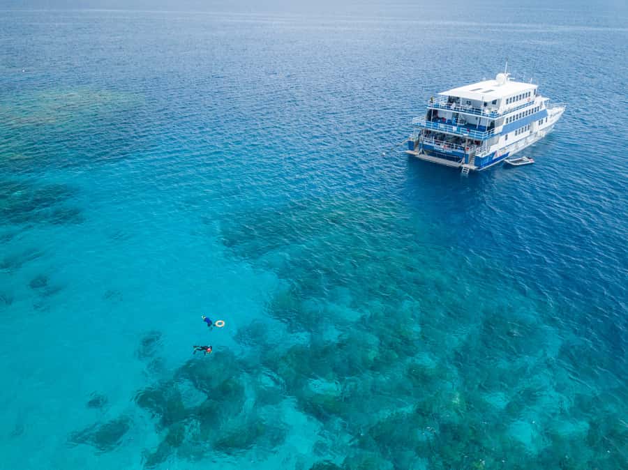Cairns: Great Barrier Reef Overnight Snorkeling Boat Trip - Key points at a glance