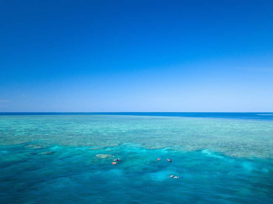 Cairns: Great Barrier Reef Overnight Snorkeling Boat Trip - What the reef sessions are like