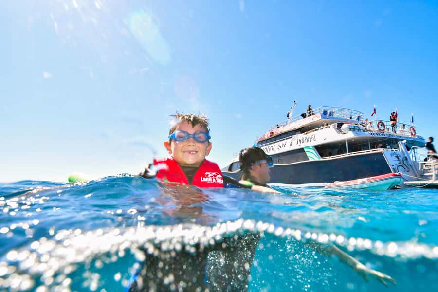 Cairns: Great Barrier Reef Premium Diving Full Day Tour - The Cultural Side of the Reef