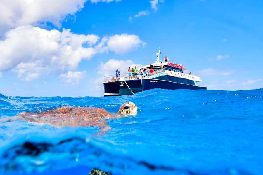 Cairns: Great Barrier Reef Premium Diving Full Day Tour - Food, Deck Space, and the Nine-Hour Rhythm