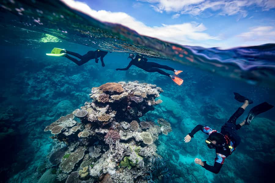Cairns: Great Barrier Reef Premium Diving Full Day Tour - Sea Conditions and Motion Sickness