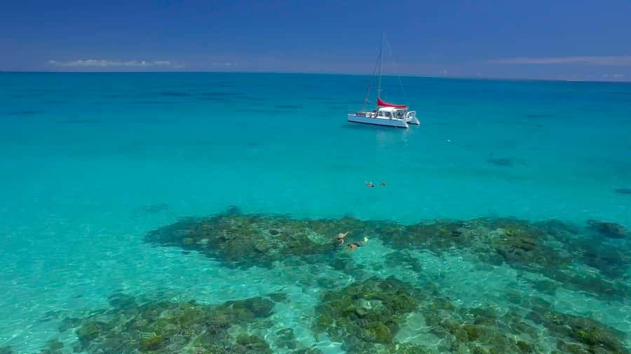 Cairns: Great Barrier Reef Snorkeling Tour with Lunch - Key points at a glance