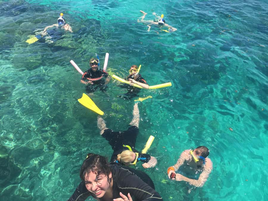 Cairns: Great Barrier Reef Snorkeling Tour with Lunch - Is $132 good value?