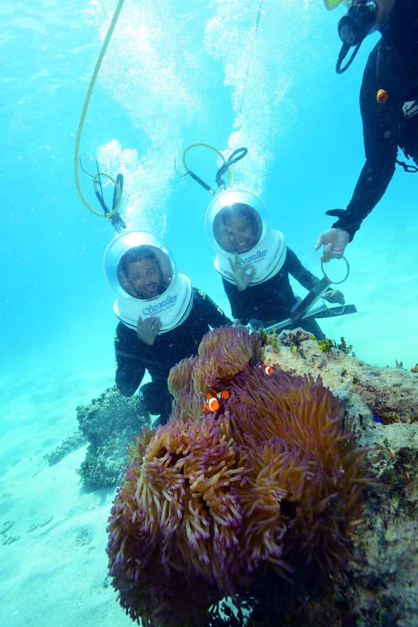 Cairns: Green Island and Seawalker Helmet Dive Combo - From Cairns to a small coral cay
