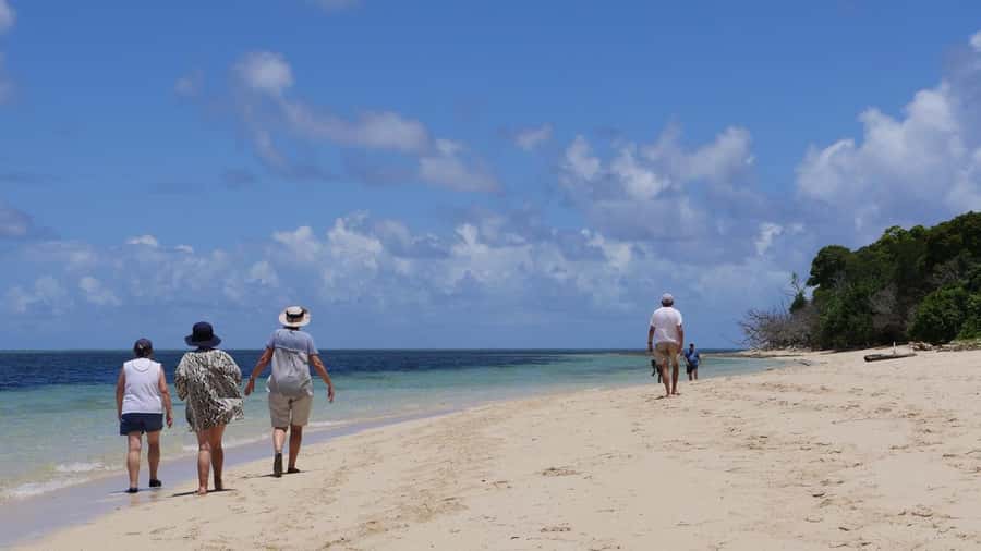 Cairns: Green Island & Great Barrier Reef Sailing Tour - Timing, comfort, and small practical tips