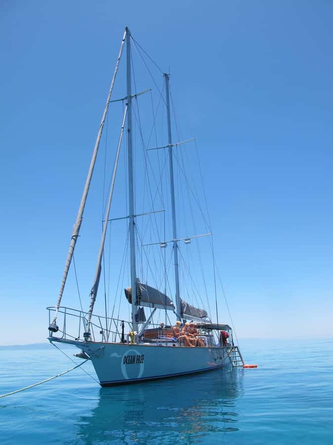 Cairns: Green Island & Great Barrier Reef Sailing Tour - Green Island gives you a different kind of reef day