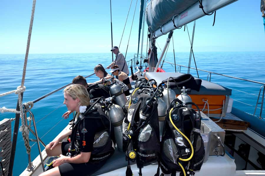 Cairns: Green Island & Great Barrier Reef Sailing Tour - Who will get the most from this day