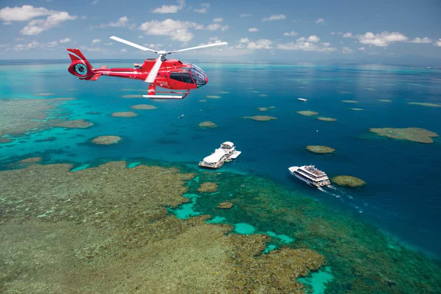 Cairns: Green Island + Moore Reef Activity Platform Combo - Who should book this day
