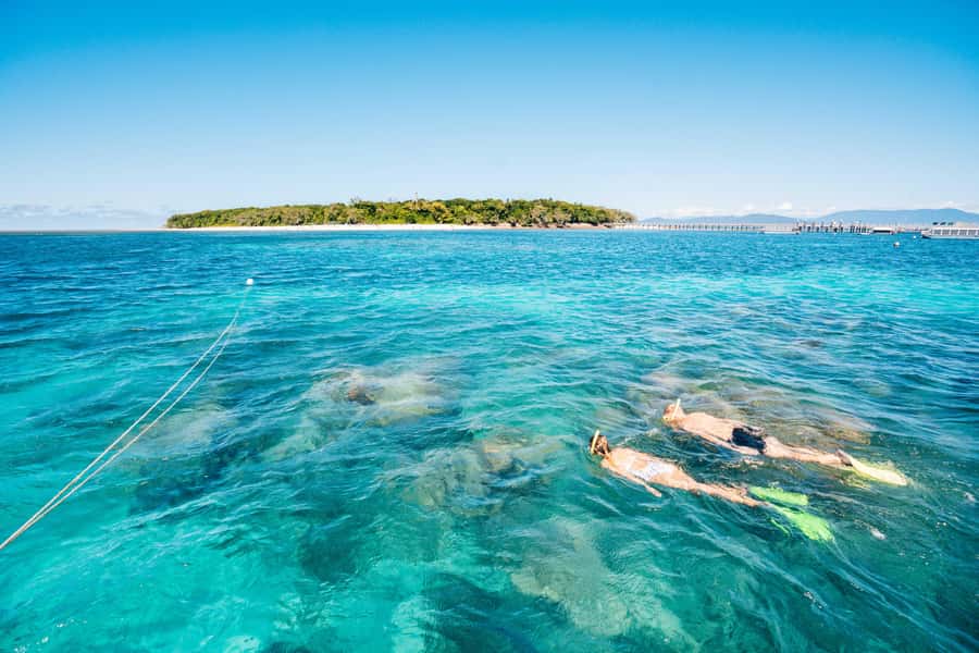 Cairns: Green Island Snorkelling or Glass Bottom Boat - The quick ride from Cairns to Green Island