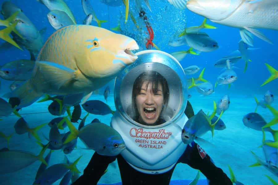 Cairns: Green Island Snorkelling or Glass Bottom Boat - Who will enjoy Green Island most