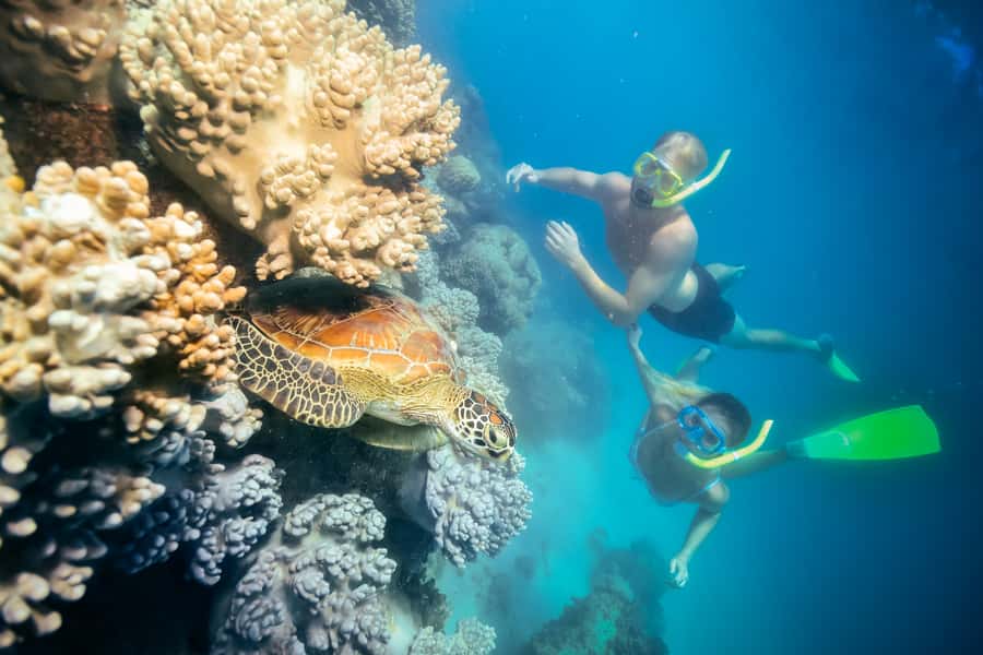 Cairns: Green Island Snorkelling or Glass Bottom Boat - Green Island, an ancient coral cay with rainforest