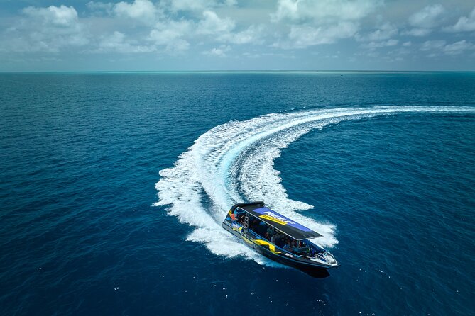 Cairns Half Day Tour a Great Barrier Reef Snorkeling Experience - Key points at a glance