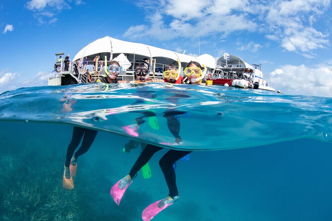 Cairns Half Day Tour a Great Barrier Reef Snorkeling Experience - Snacks, equipment, and what you still need to pay for