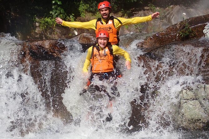 Cairns Half Day Tour a Great Barrier Reef Snorkeling Experience - Small group, active crew, and a lively boat ride